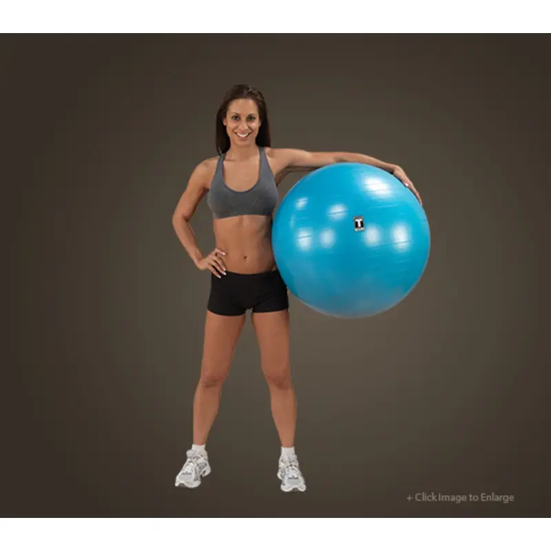 Body-Solid Stability Balls