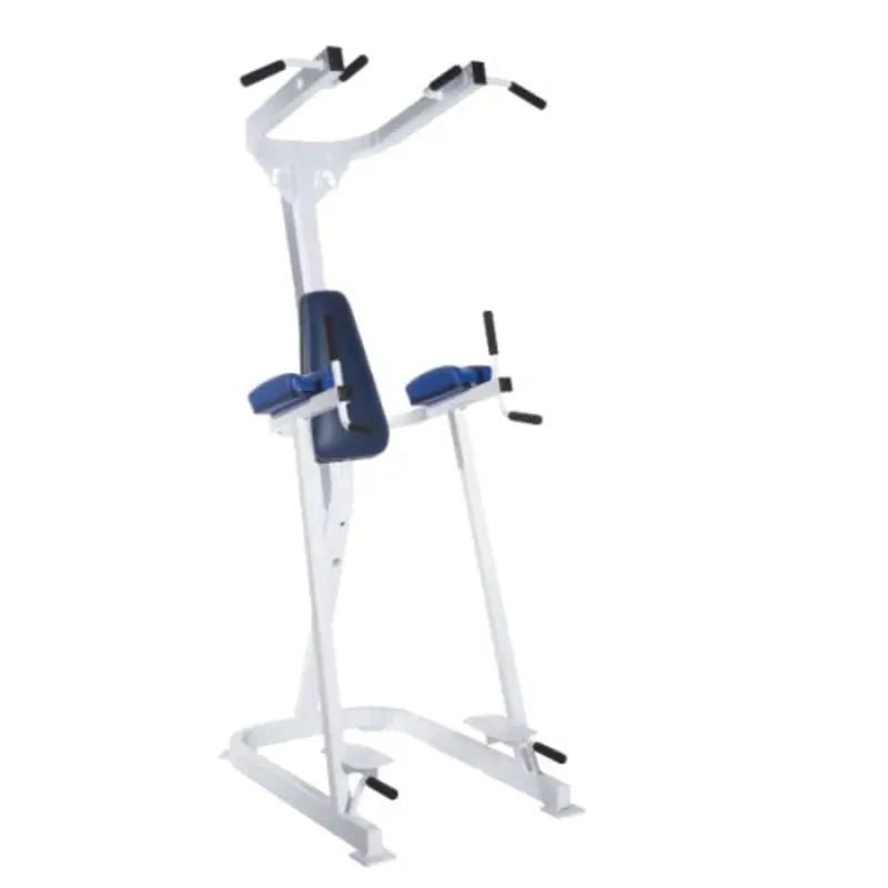 Promaxima Vertical Knee Raise w/ Pullup