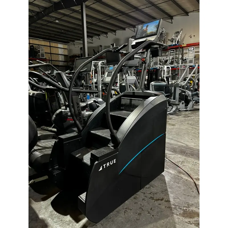 TRUE FITNESS PALISADE CLIMBER / STAIRMASTER