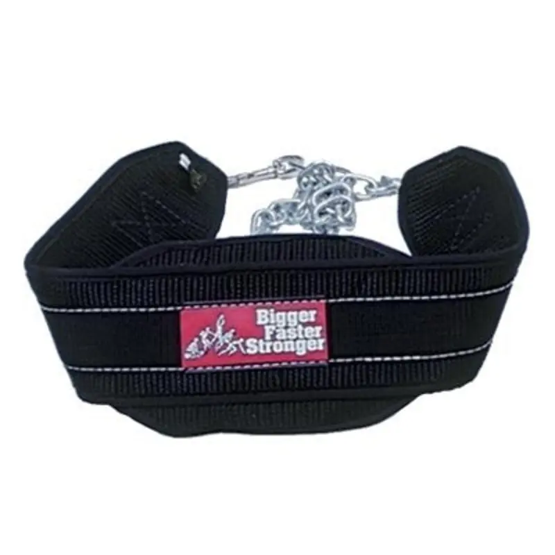 Nylon Dip Belt