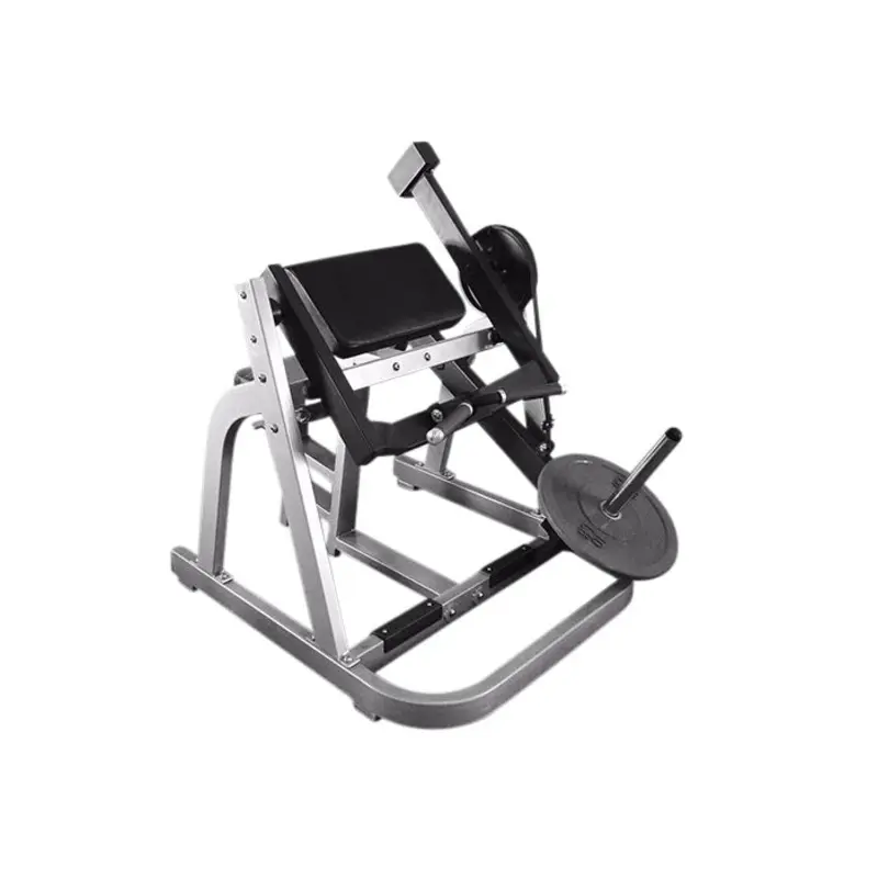 Seated Arm Curl - Muscle D