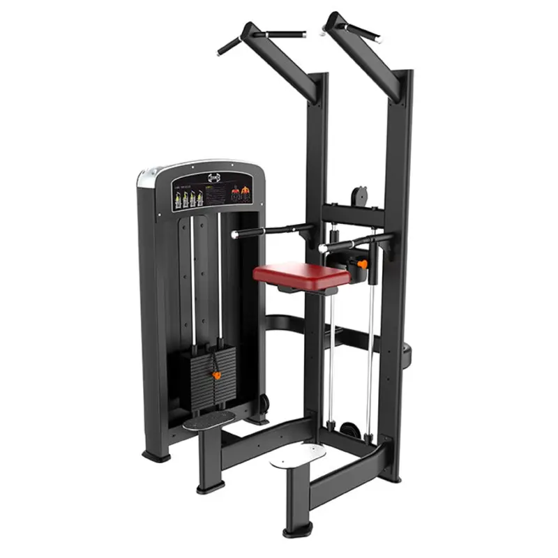 Assisted Chin Dip Machine  Elite Series | Muscle D Fitness