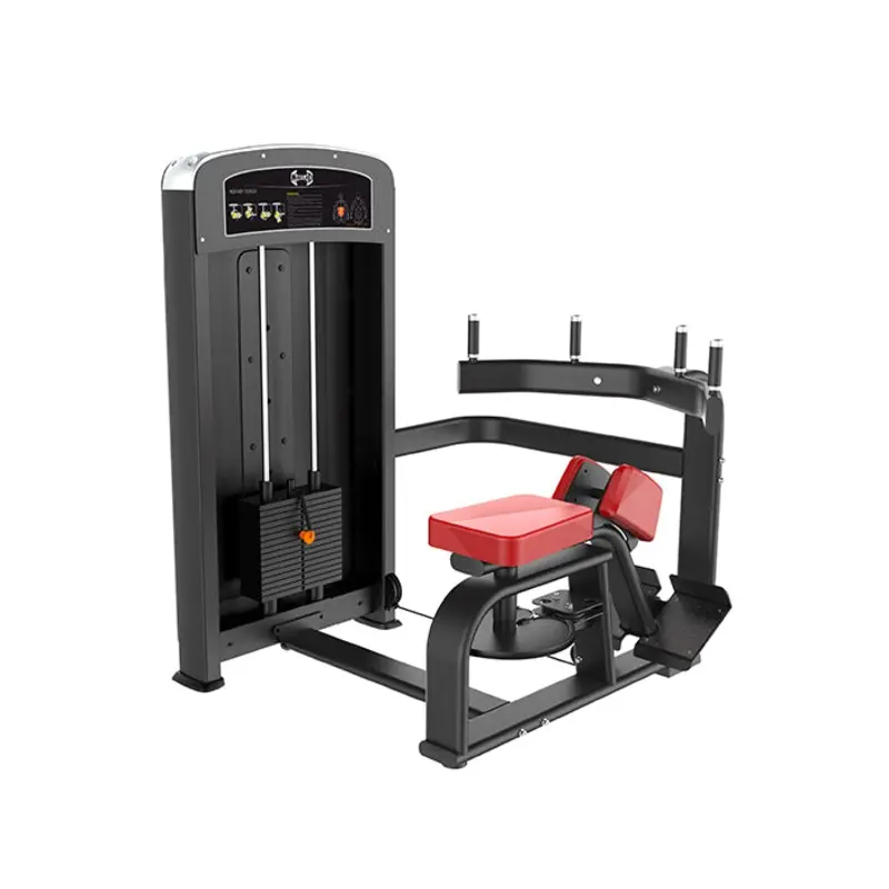 Rotary Torso Muscle D Elite Line