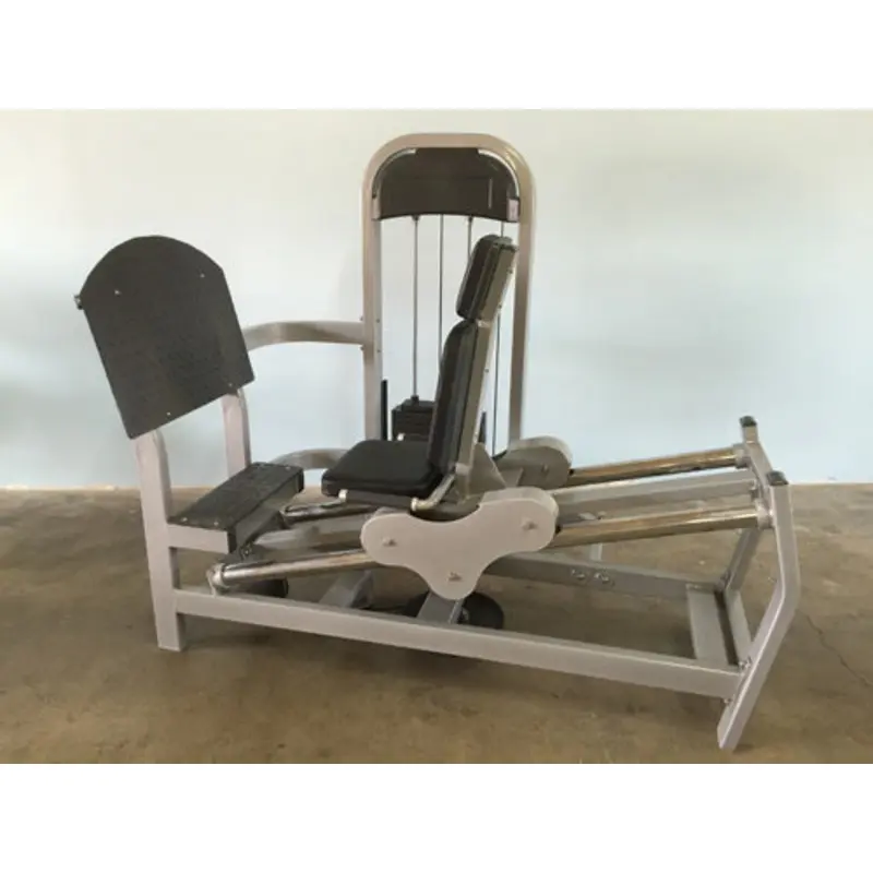 Seated Leg Press - Muscle D