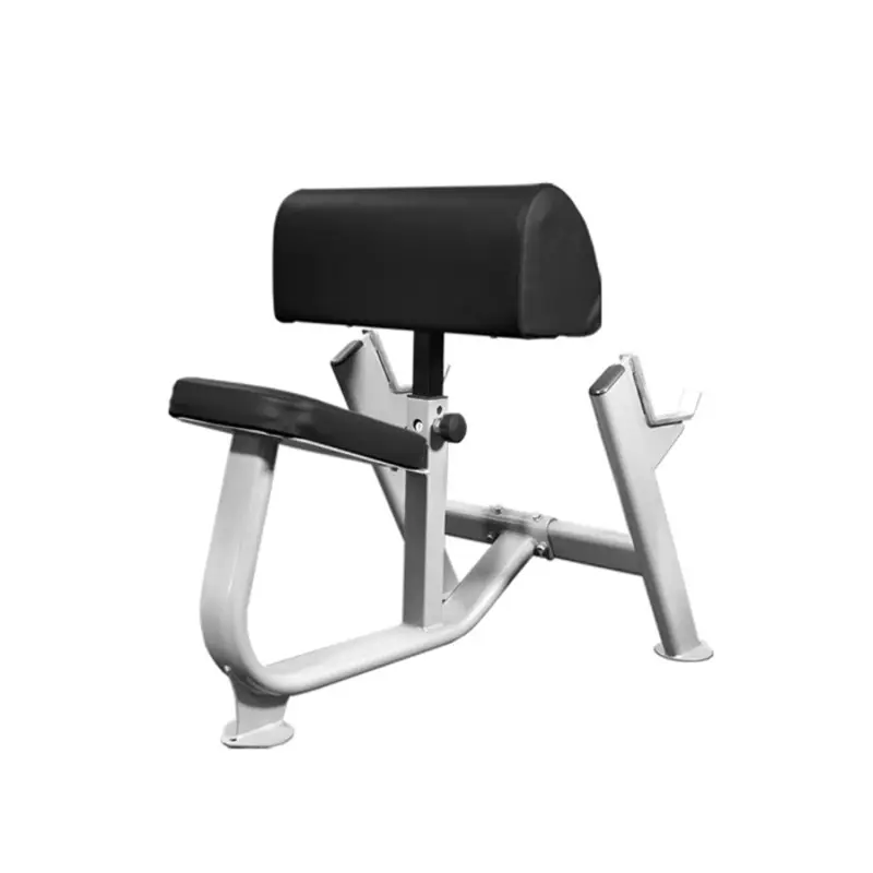 Preachers Curl Bench - Muscle D