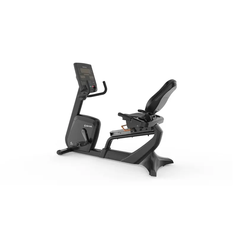 Recumbent Bike
