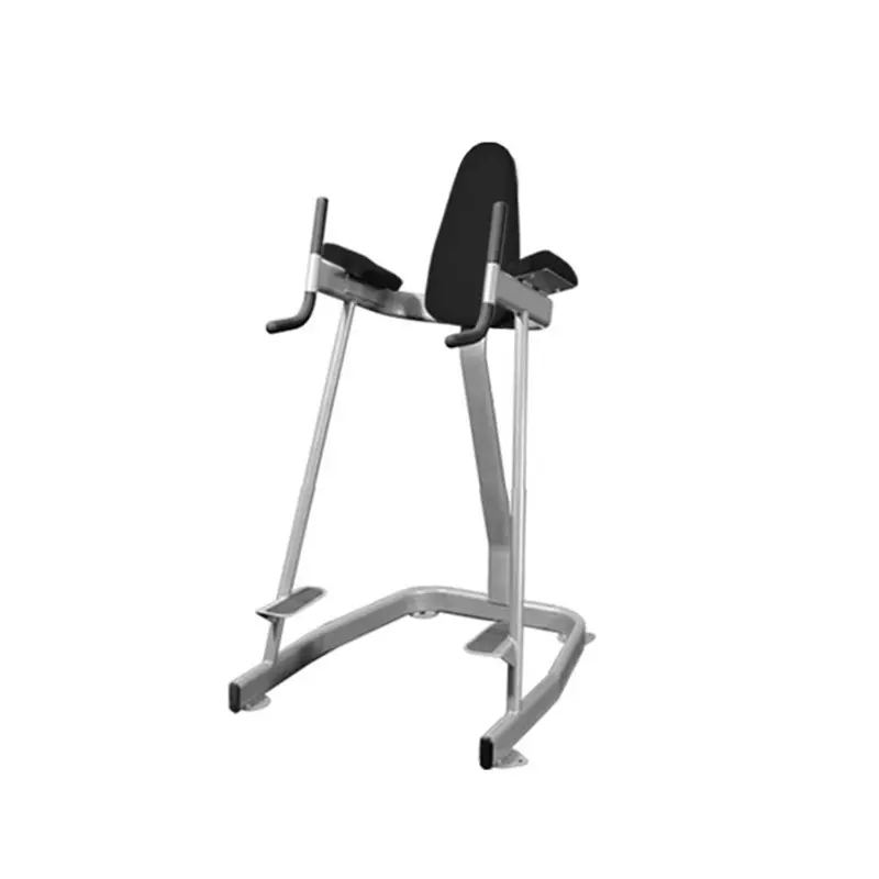 Vertical Knee Raise - Elite Series - Muscle D
