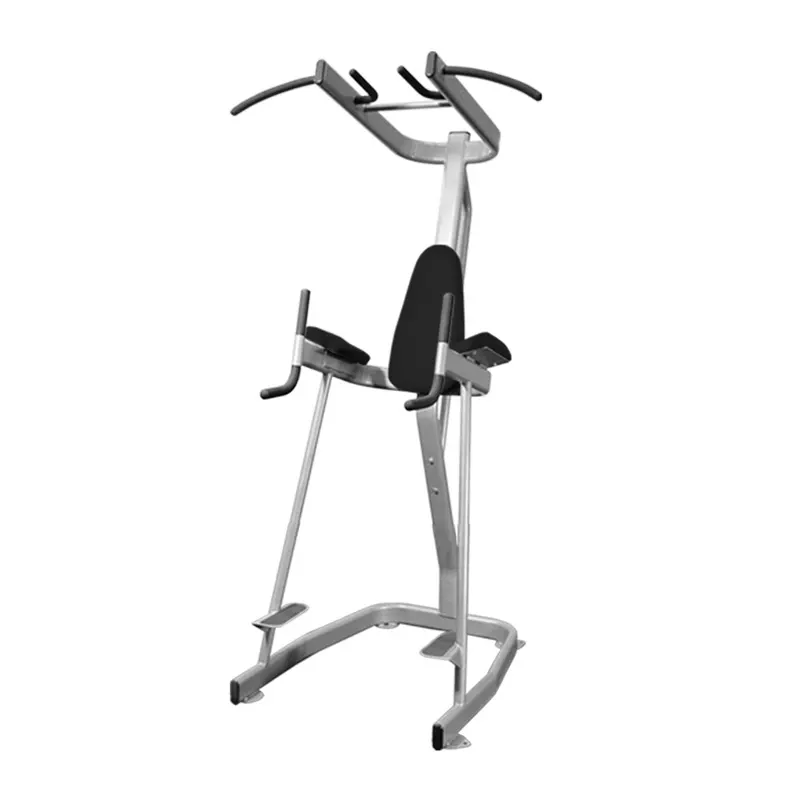 Vertical Knee Raise with Pull Up Station - Muscle D