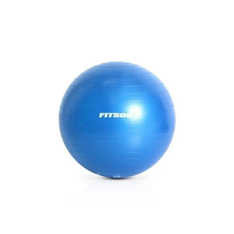 Fit505 75cm Anti Burst Stability Ball (Blue)