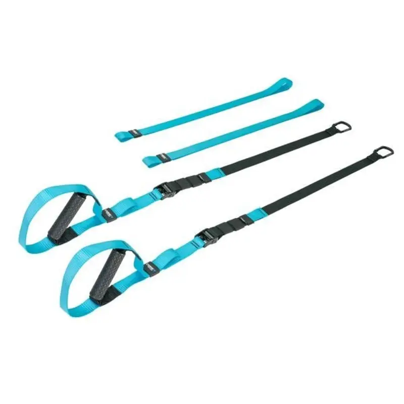 Torque Pro Commercial Suspension Straps (Blue)