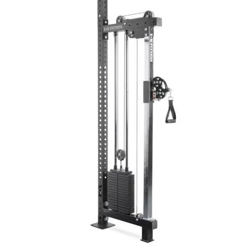 XM Rig/Wall Mounted Functional Trainer