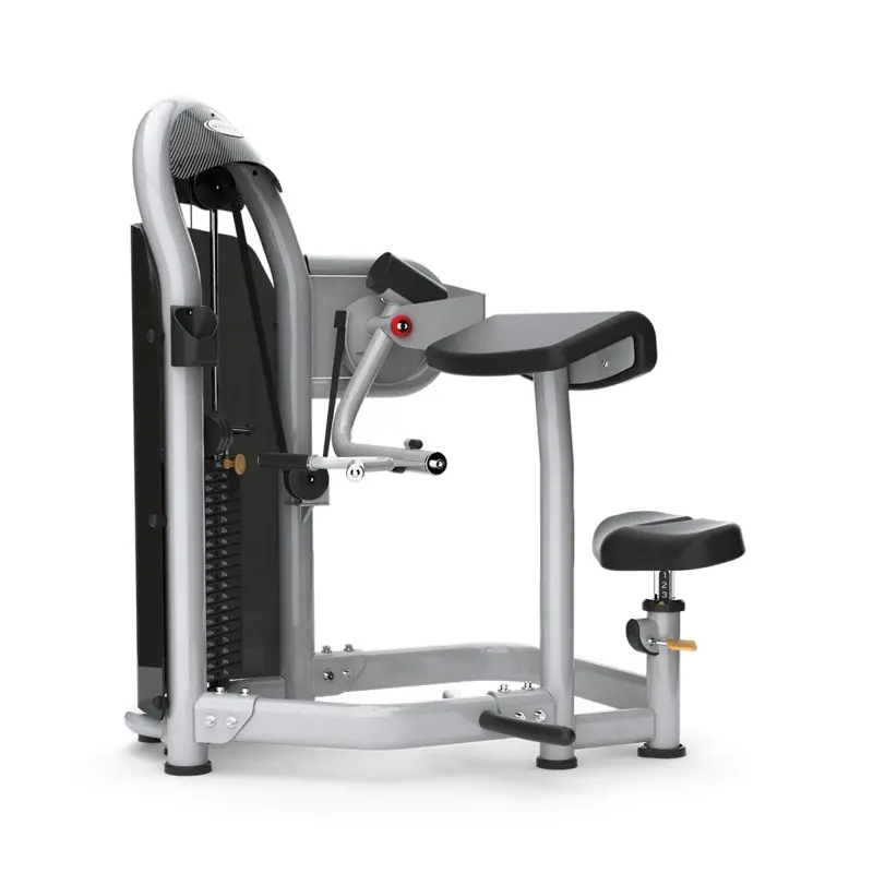 Aura Arm Curl