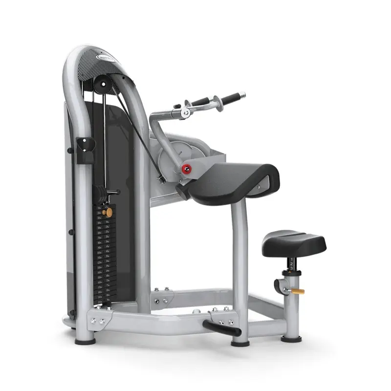 Aura Tricep Extension