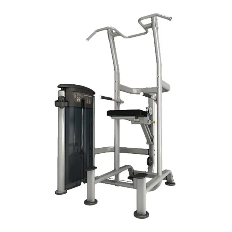 Mercury Weight Assisted Chin Dip 200lbs