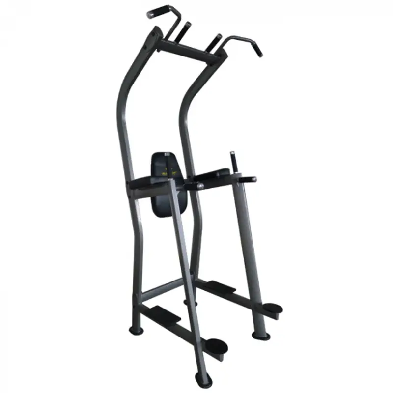 Vertical Knee Raise with chin up 870VKR