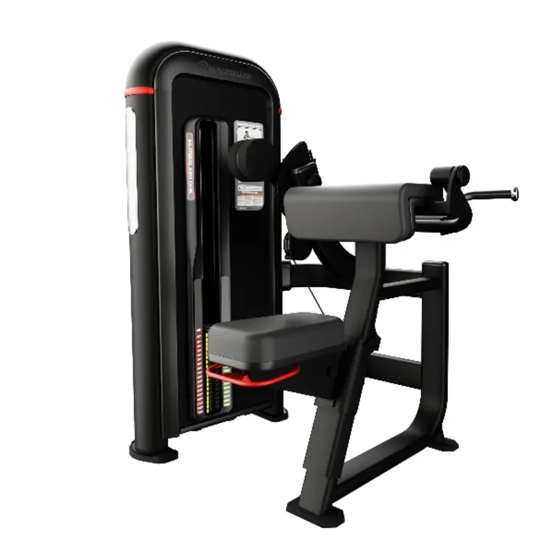 Inspiration Bilateral Arm Curl