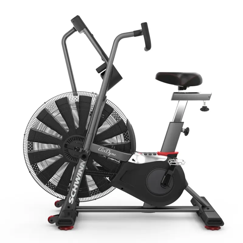 Schwinn Airdyne AD7