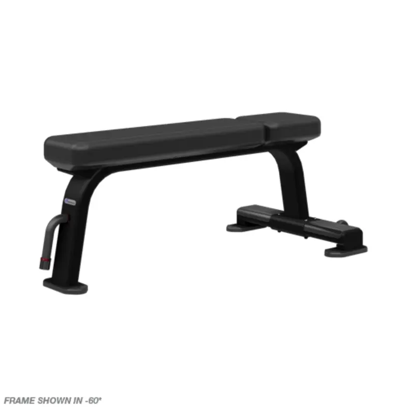 Nautilus Flat Bench
