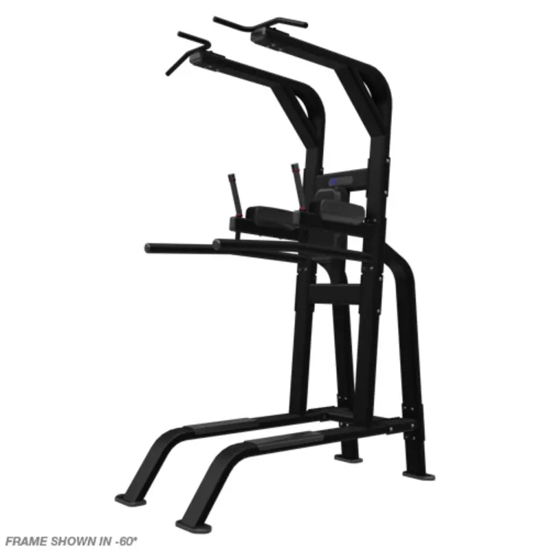 Nautilus Pull Up/Dip/Leg Raise