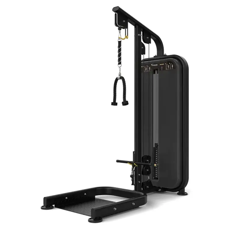 Vision VF Bicep Triceps S401