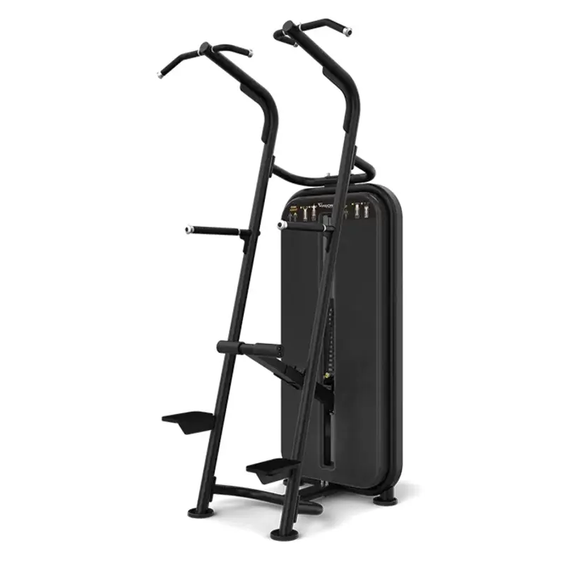 Vision VF Chin / Dip Assist S601