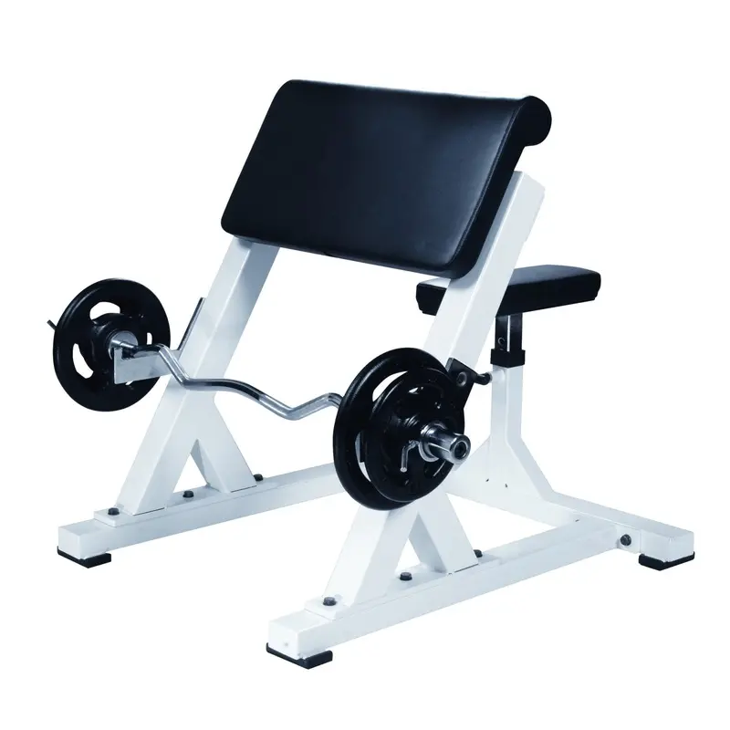 YORK Preacher Curl Machine
