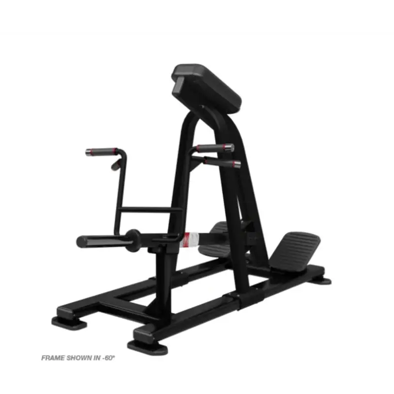 Nautilus Incline Lever Row