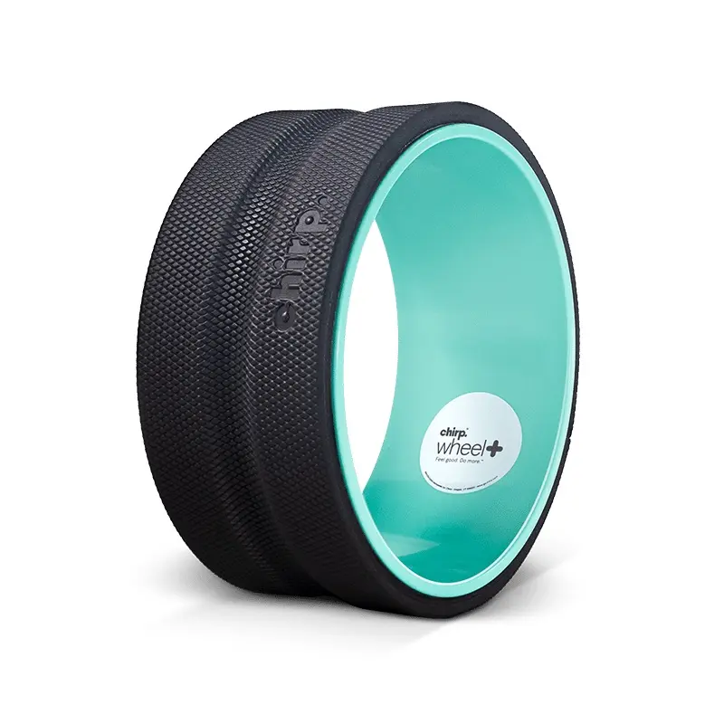 CHIRP WHEEL+ 10" FIRM