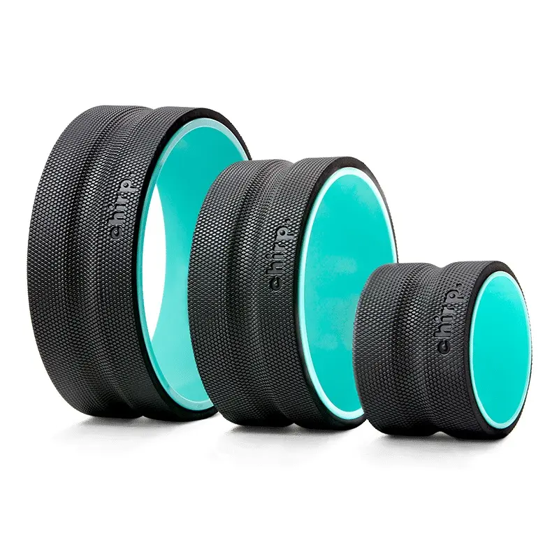 CHIRP WHEEL + 3-PACK