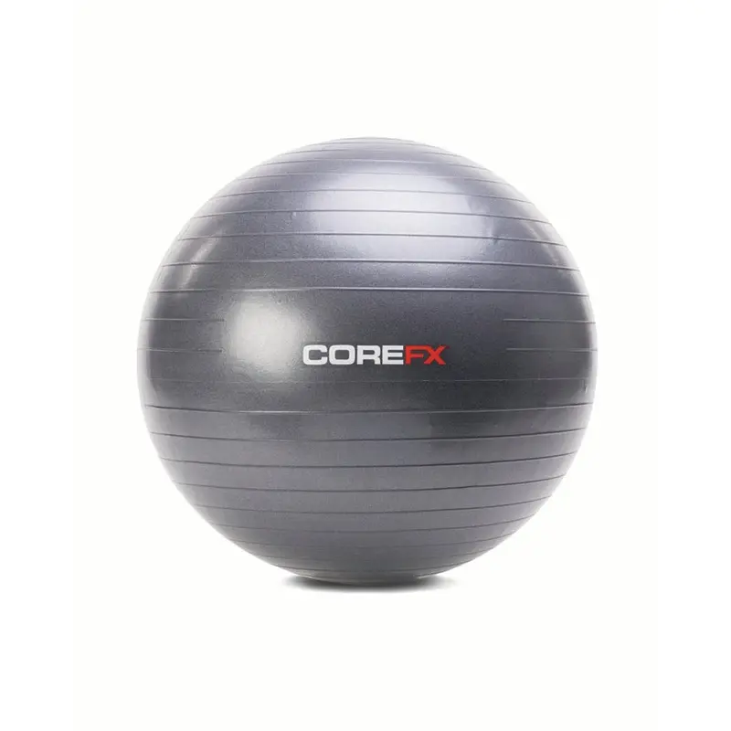 Home Gym Stability Balls