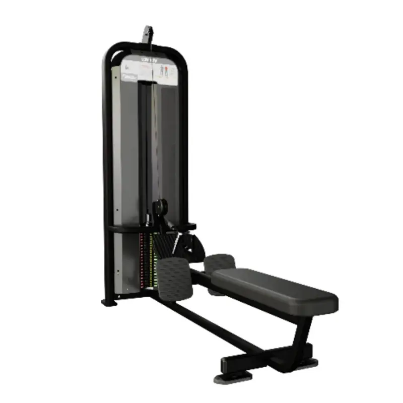 Nautilus Impact Series - Low Row