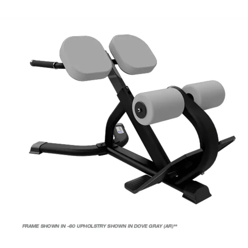 Nautilus Instinct Series - 45 Back Extension
