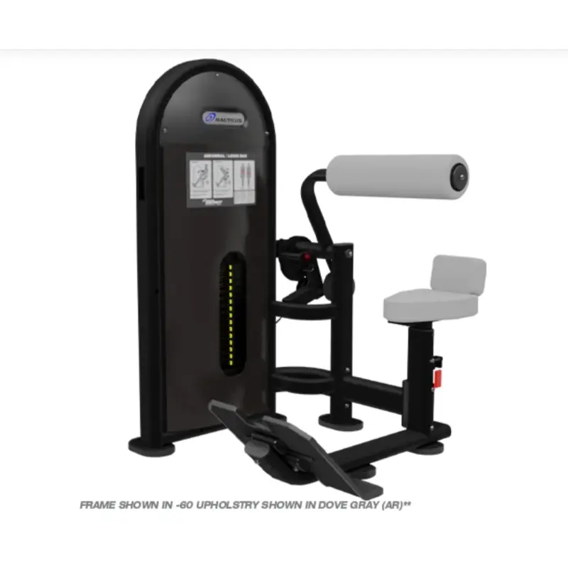 Nautilus Instinct Series - Dual Abdominal/Lower Back