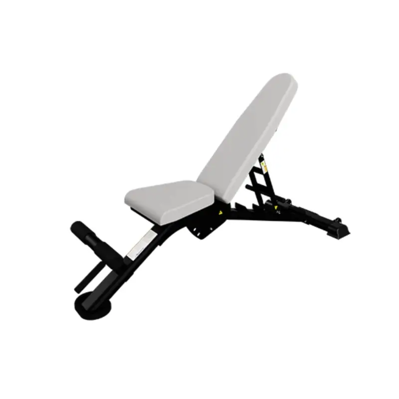 Nautilus - Multi-Adjustable Bench 100